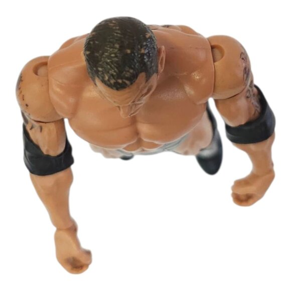 WWE The Animal Dave Batista Action Figure 7" Summer Slam Evolution 2011 Mattel - Picture 9 of 11
